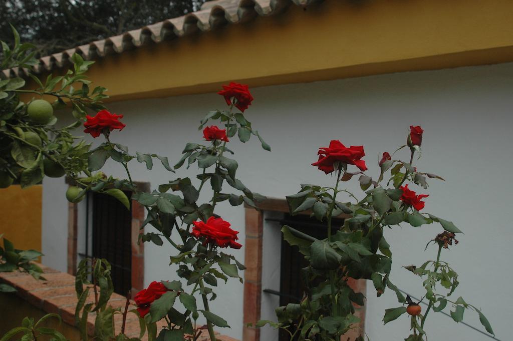 Hostal Casa Jazmín Zahora Habitación foto
